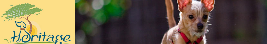 Heritage