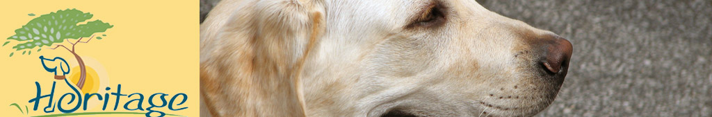 Heritage
