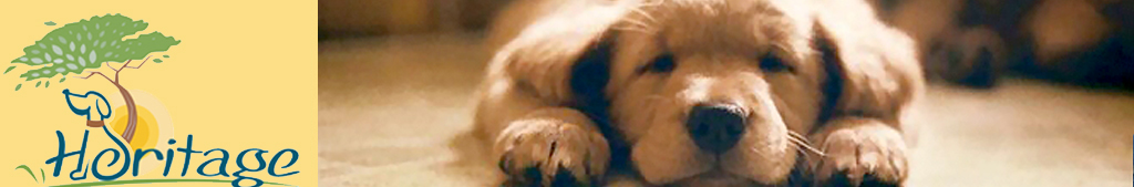 Heritage